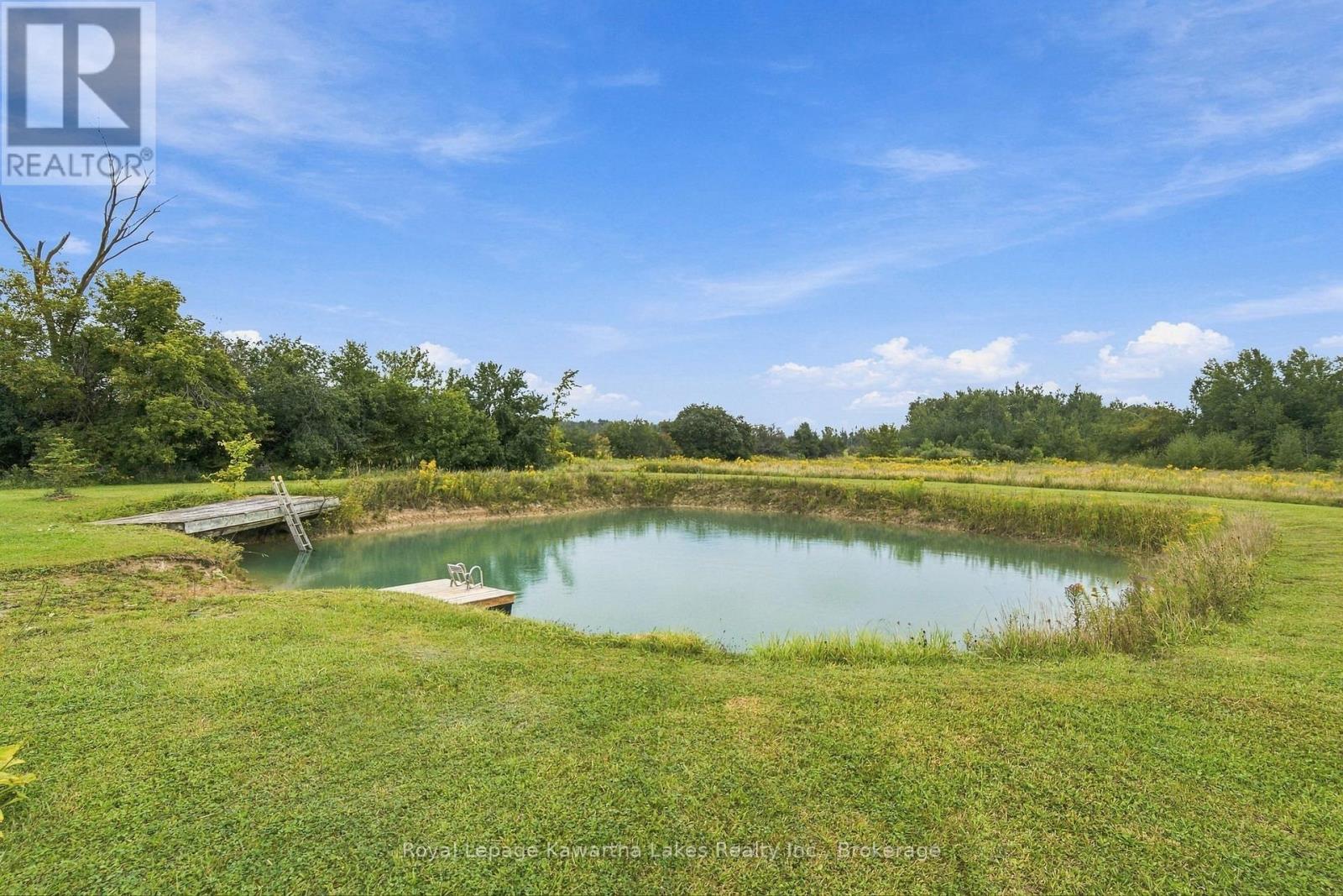 3313 Hwy 7 Highway, Kawartha Lakes (Ops), Ontario  K0L 2W0 - Photo 45 - X13787262