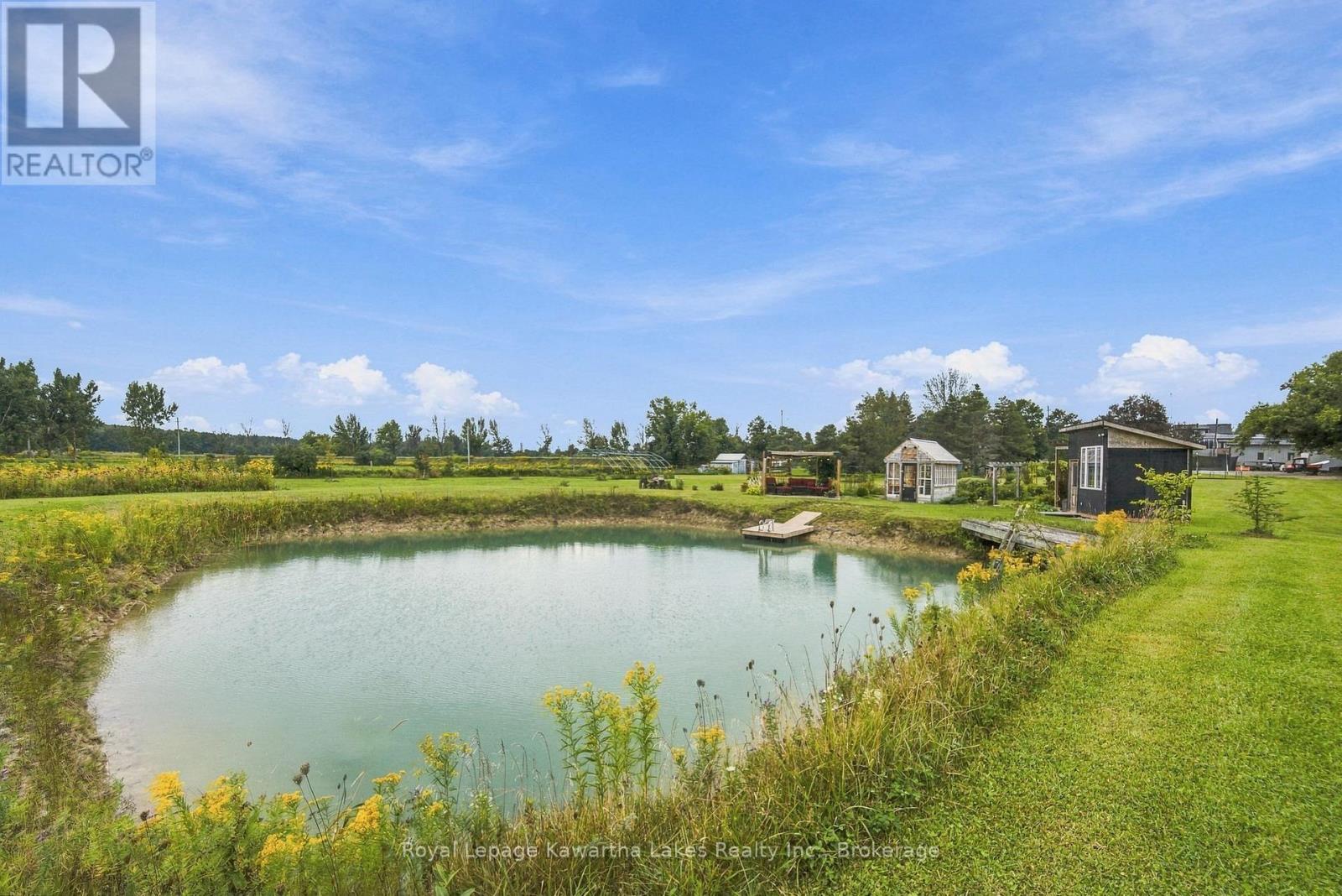 3313 Hwy 7 Highway, Kawartha Lakes (Ops), Ontario  K0L 2W0 - Photo 49 - X13787262