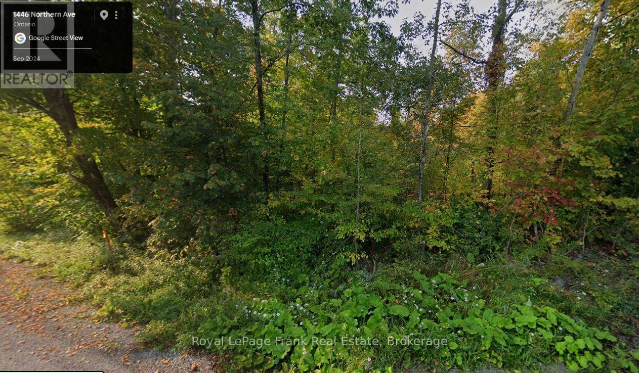 0 Northern Avenue, Trent Lakes, Ontario  K0L 1J0 - Photo 2 - X13790630