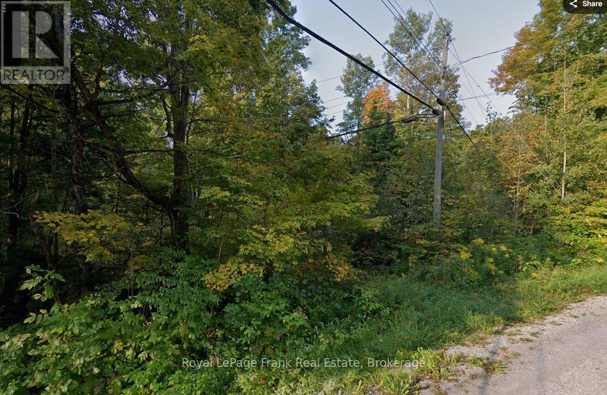 0 Northern Avenue, Trent Lakes, Ontario  K0L 1J0 - Photo 3 - X13790630