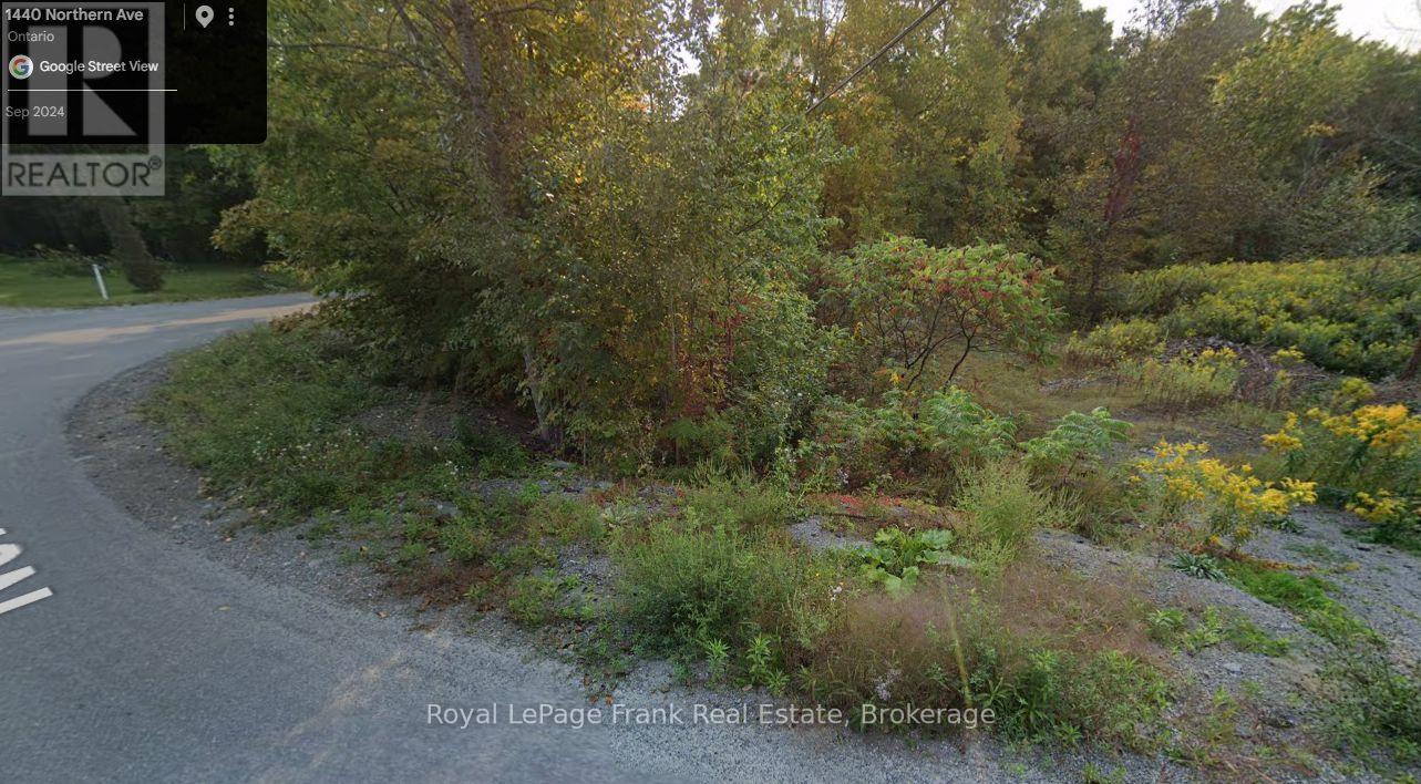 0 Northern Avenue, Trent Lakes, Ontario  K0L 1J0 - Photo 4 - X13790630