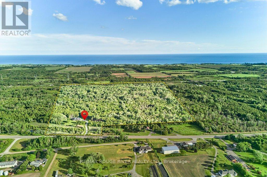 4199 Hwy 2 Highway E, Clarington, Ontario  L1B 0R5 - Photo 5 - E13794064