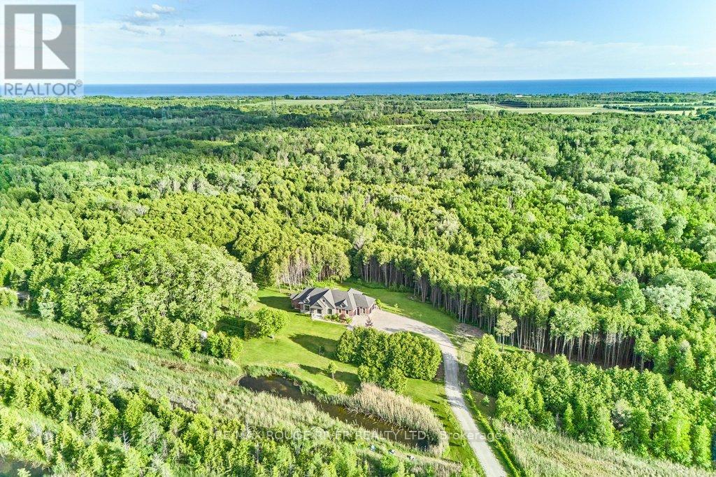 4199 Hwy 2 Highway E, Clarington, Ontario  L1B 0R5 - Photo 8 - E13794064