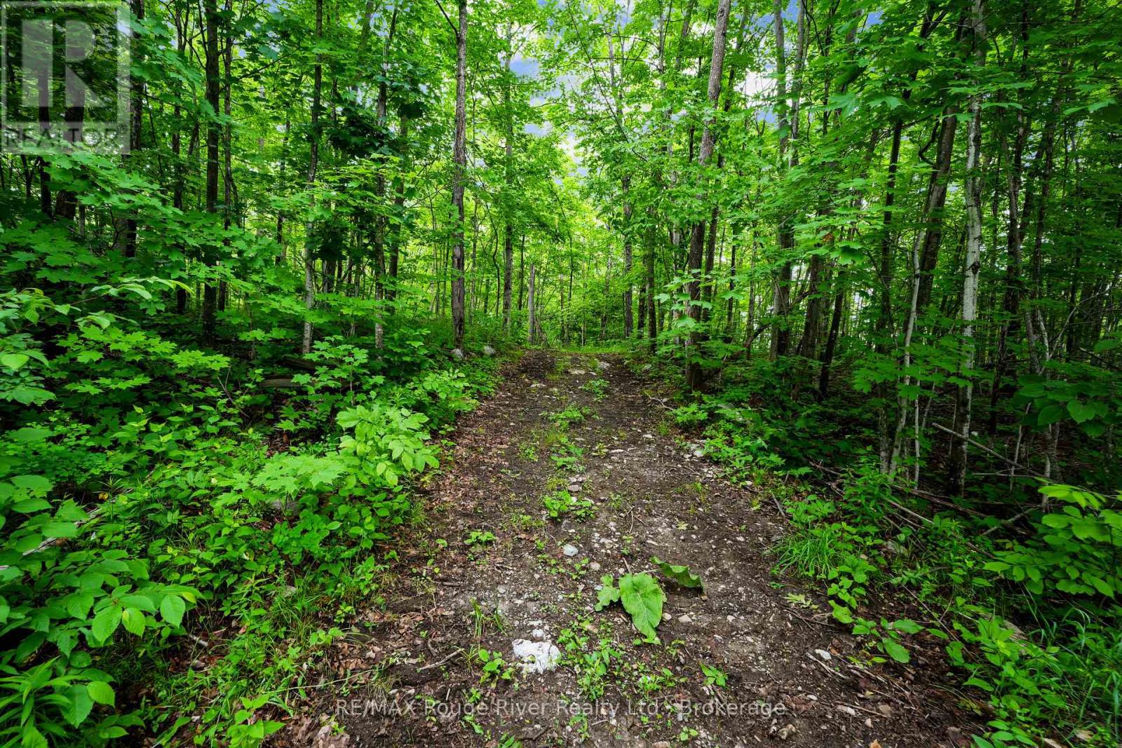 559 County Road 47 Road N, Havelock-Belmont-Methuen (Belmont-Methuen), Ontario  K0L 1Z0 - Photo 40 - X13795290