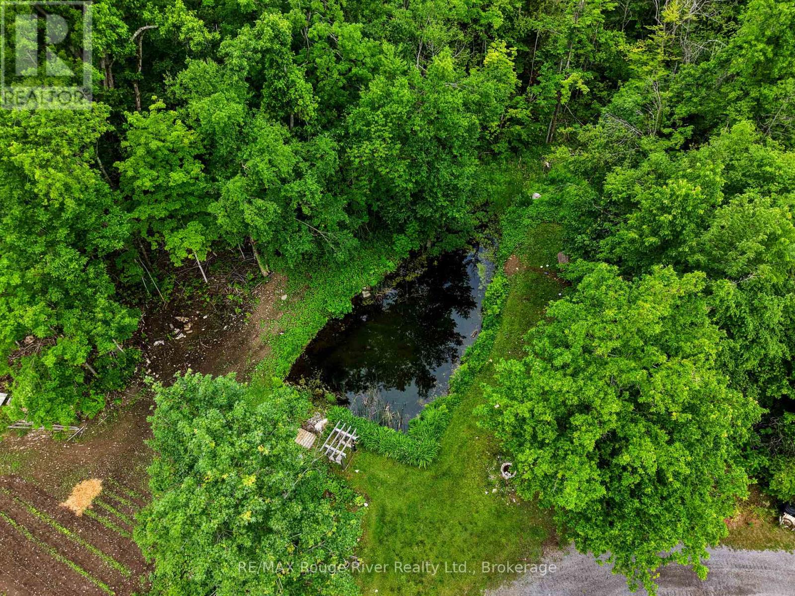 559 County Road 47 Road N, Havelock-Belmont-Methuen (Belmont-Methuen), Ontario  K0L 1Z0 - Photo 48 - X13795290