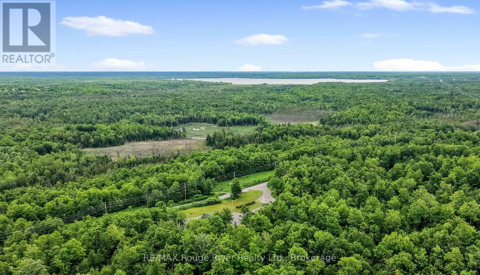 559 County Road 47 Road N, Havelock-Belmont-Methuen (Belmont-Methuen), Ontario  K0L 1Z0 - Photo 50 - X13795290