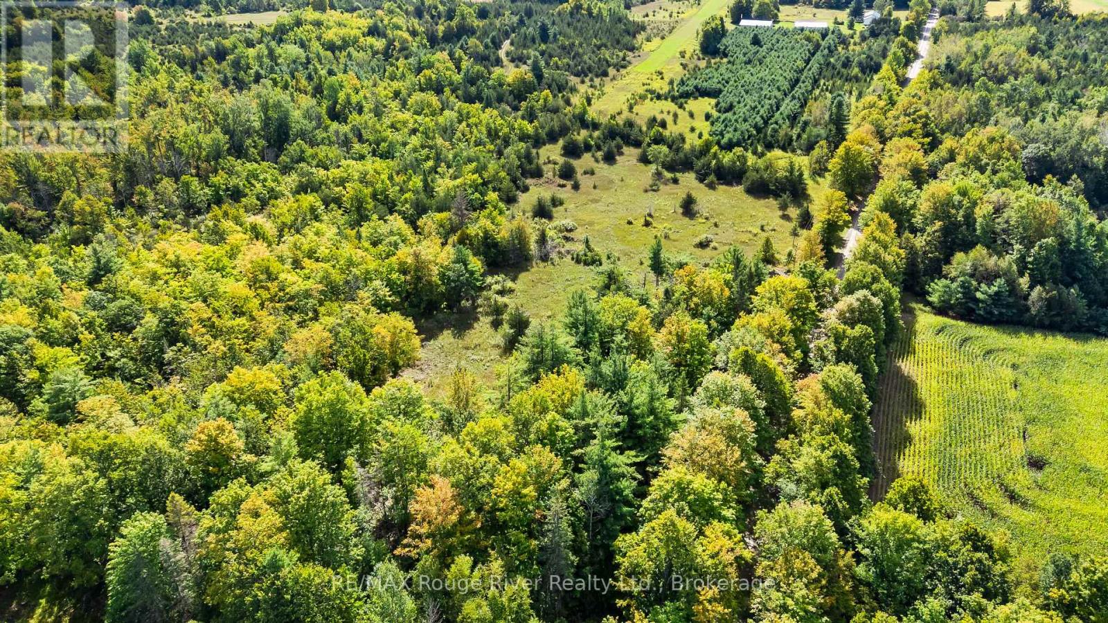 1321 Crowe River Road N, Trent Hills, Ontario  K0L 1L0 - Photo 10 - X13796288