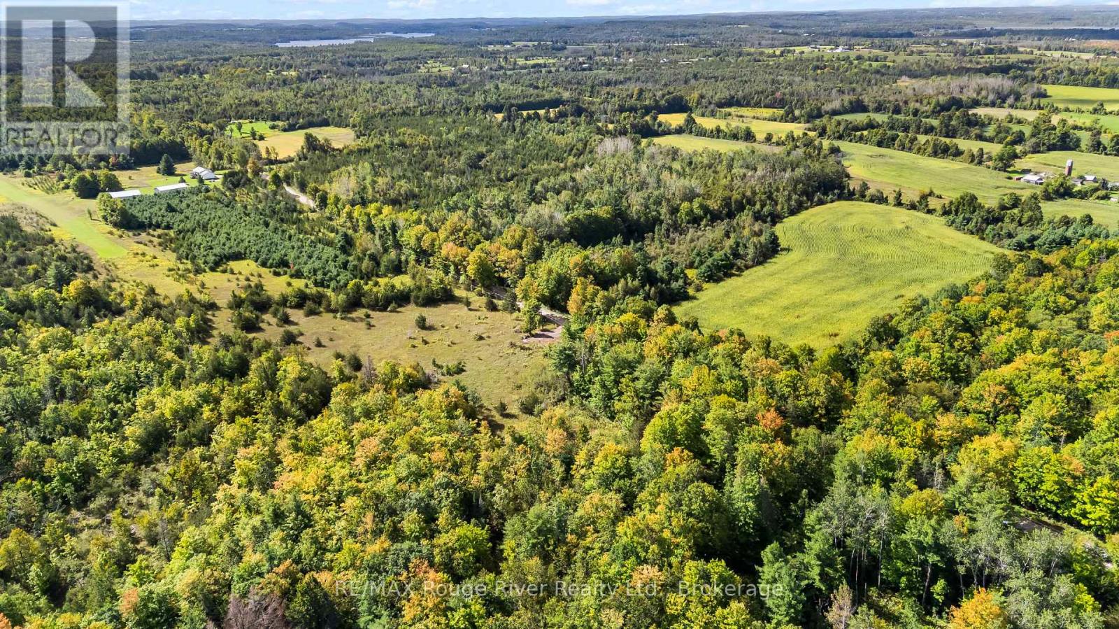 1321 Crowe River Road N, Trent Hills, Ontario  K0L 1L0 - Photo 12 - X13796288