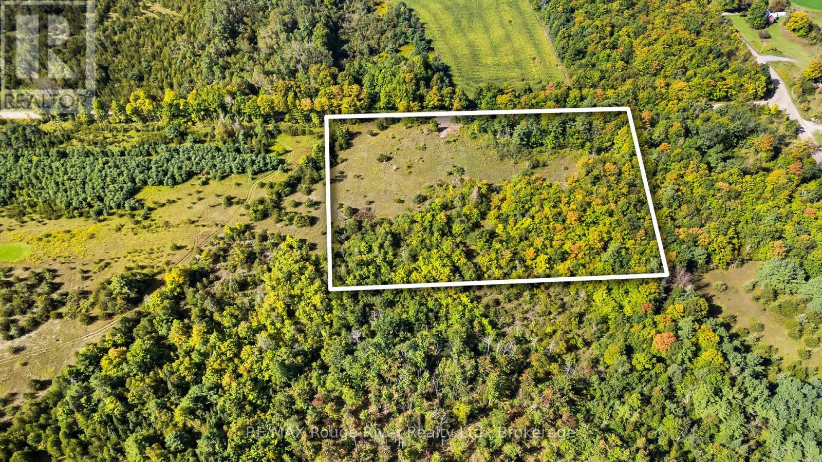 1321 Crowe River Road N, Trent Hills, Ontario  K0L 1L0 - Photo 14 - X13796288