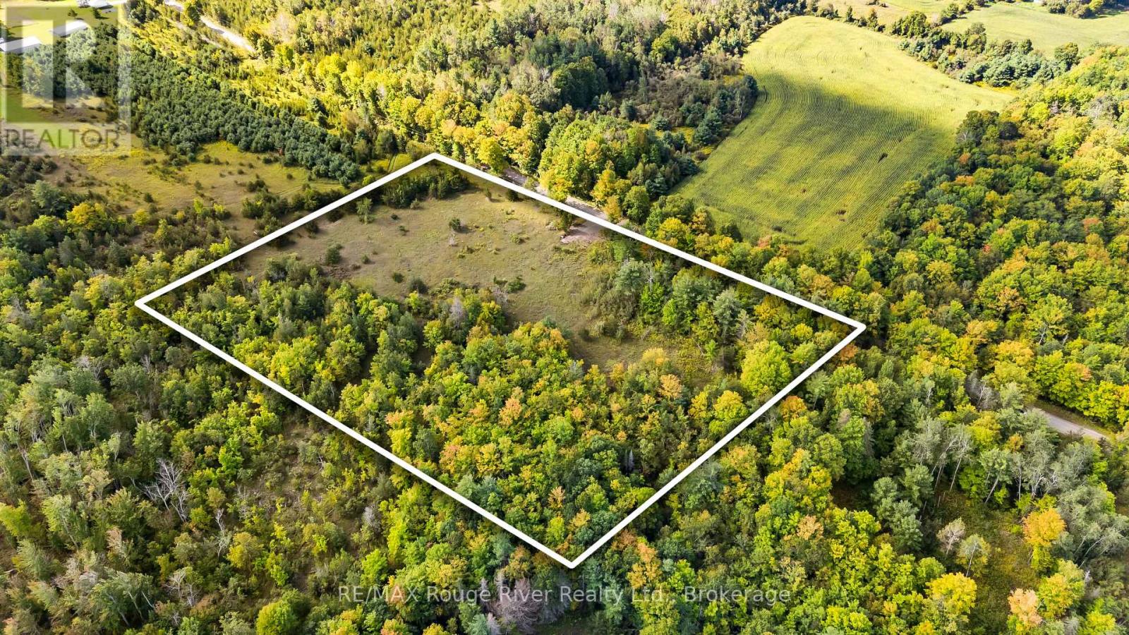 1321 Crowe River Road N, Trent Hills, Ontario  K0L 1L0 - Photo 2 - X13796288