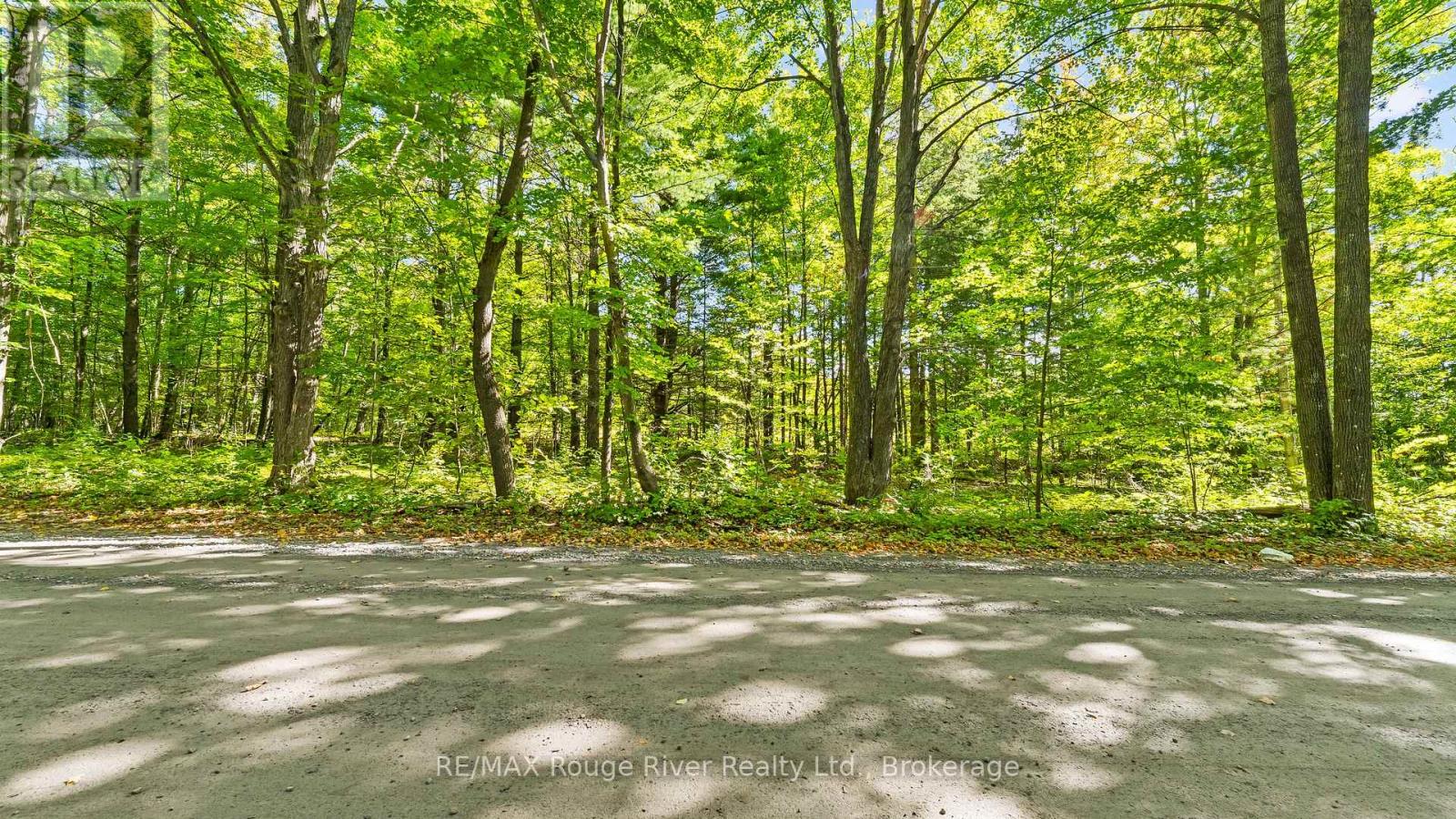 1321 Crowe River Road N, Trent Hills, Ontario  K0L 1L0 - Photo 6 - X13796288