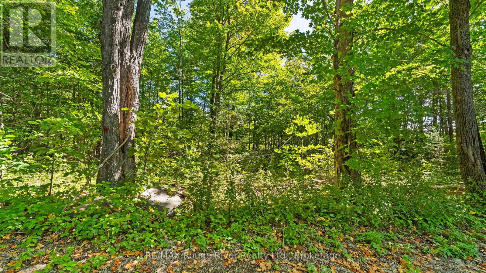 1321 Crowe River Road N, Trent Hills, Ontario  K0L 1L0 - Photo 9 - X13796288