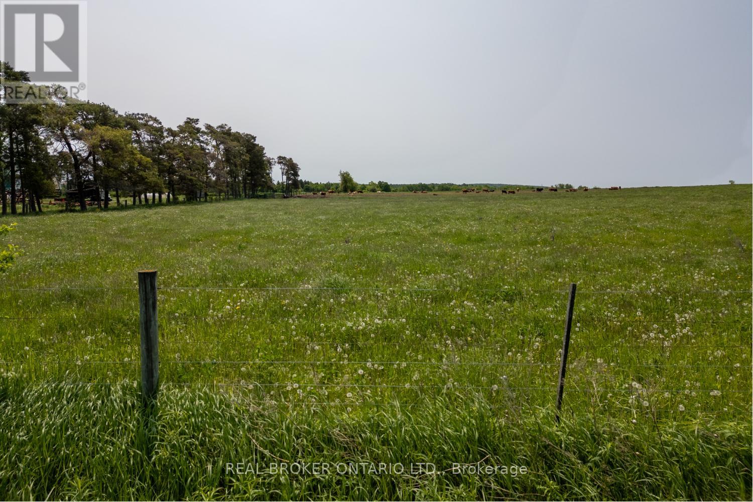 Pt Lt 22 Con 3 Cavan Pt 1, Cavan Monaghan (Cavan Twp), Ontario  L0A 1G0 - Photo 11 - X13798530