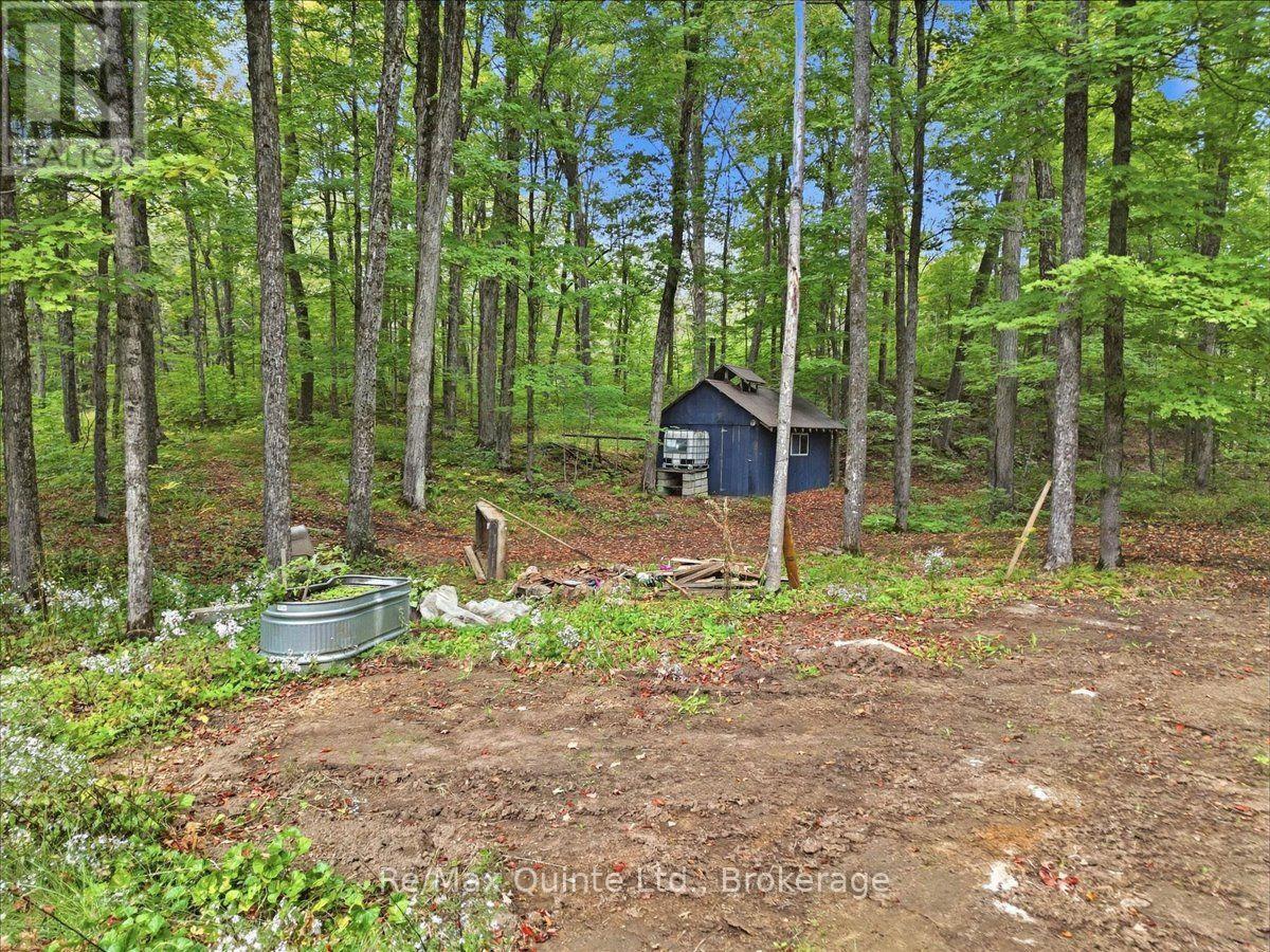 578 Old Apsley Road, North Kawartha, Ontario  K0L 1A0 - Photo 39 - X13800786