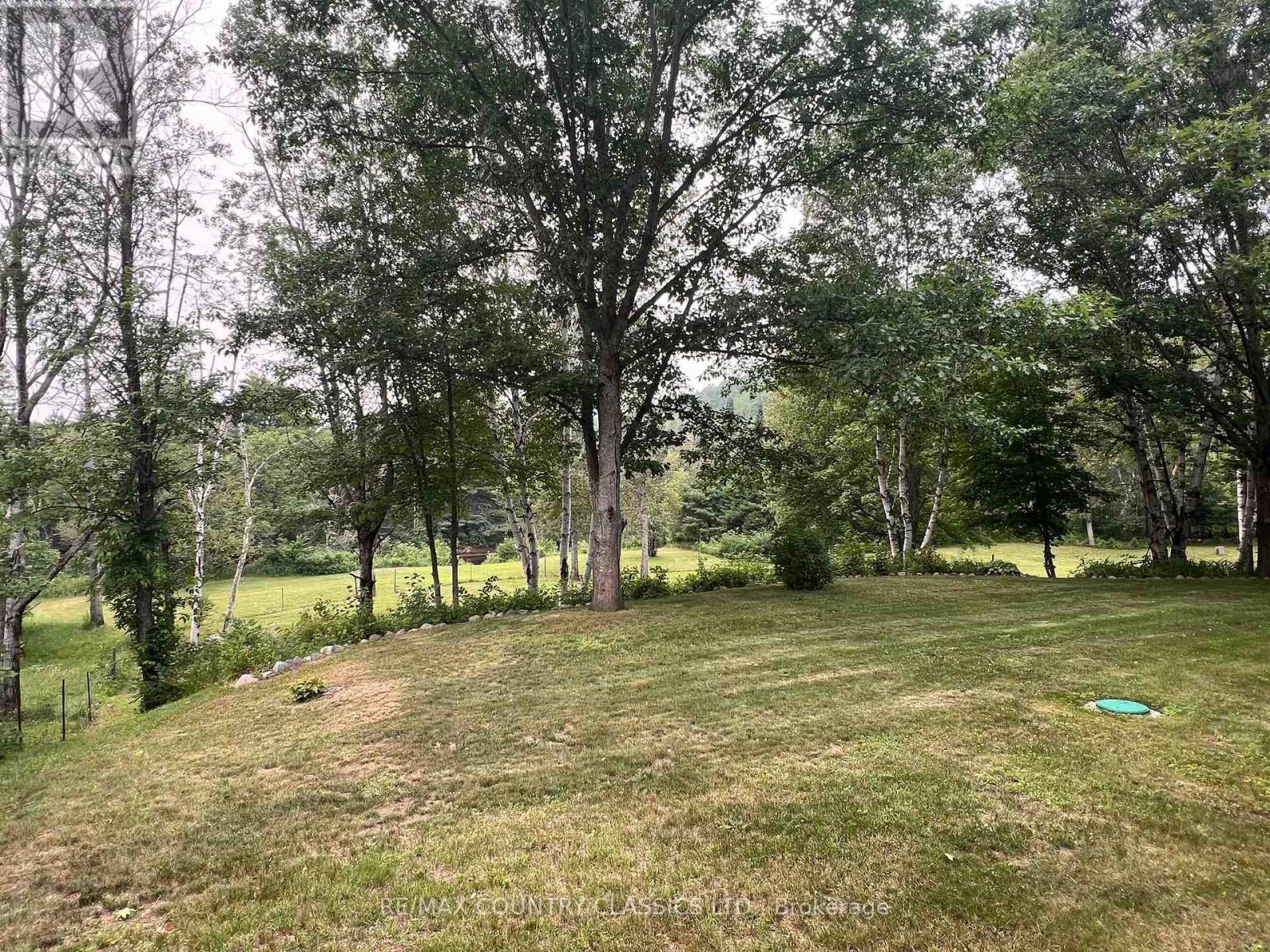 24 Firehall Lane, Hastings Highlands (Herschel Ward), Ontario  K0L 1C0 - Photo 11 - X13801472