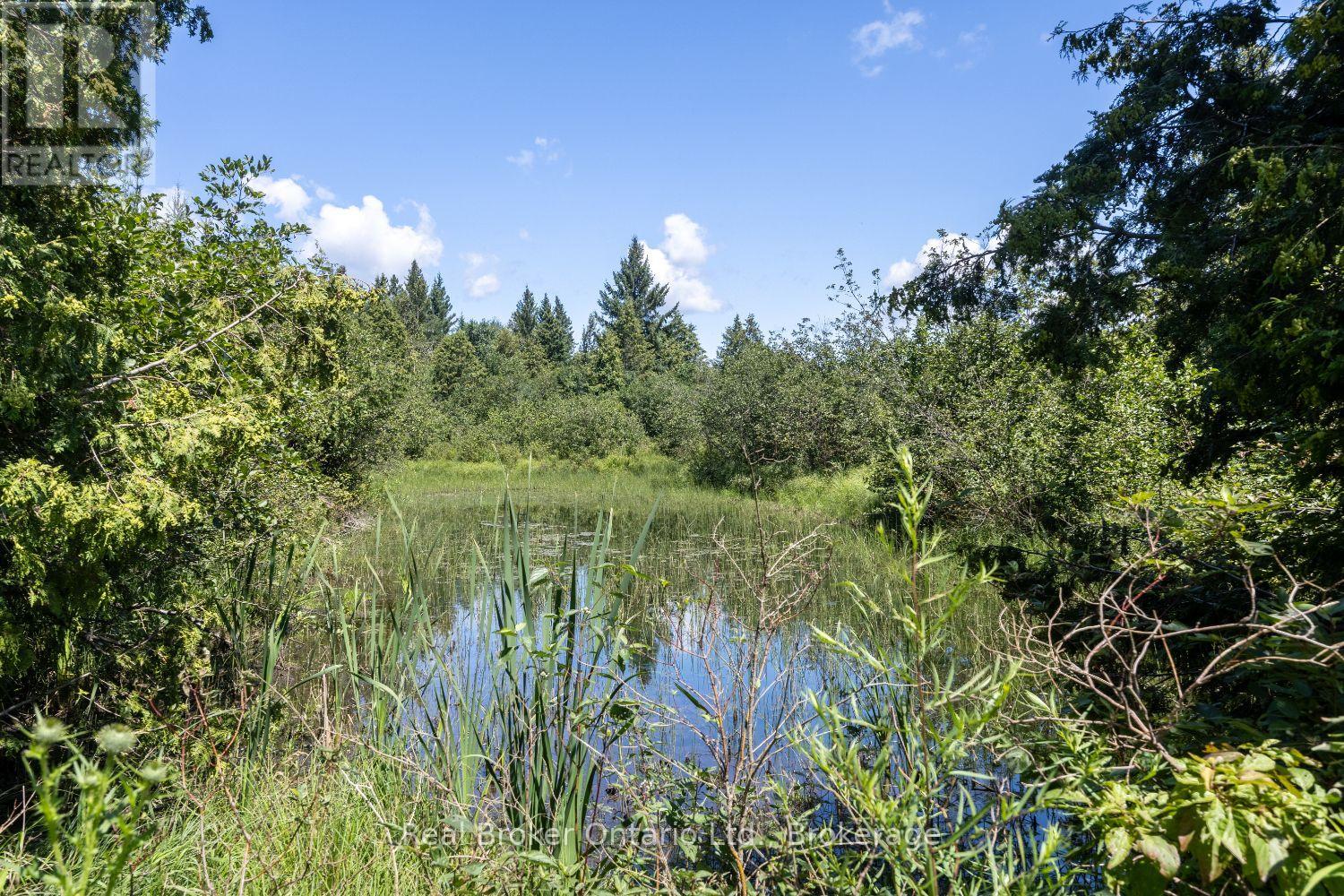 982 Porter Road, Kawartha Lakes (Manvers), Ontario  L0A 1A0 - Photo 40 - X13802090