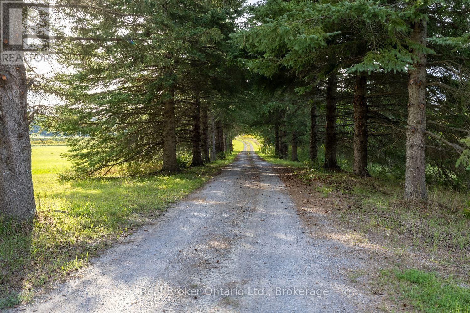 982 Porter Road, Kawartha Lakes (Manvers), Ontario  L0A 1A0 - Photo 44 - X13802090