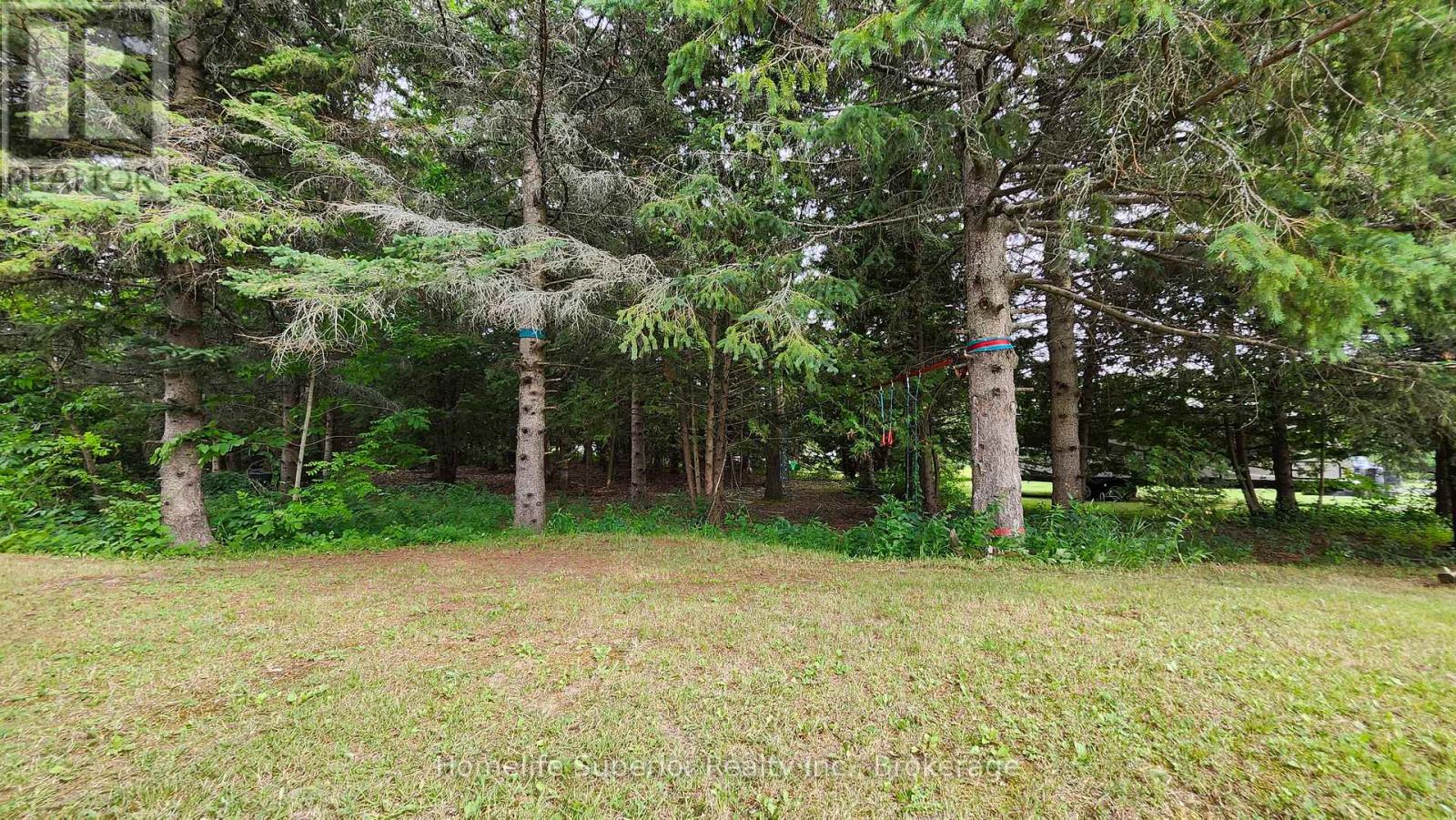 32 Wildrose Circle, Trent Hills, Ontario  K0L 1Z0 - Photo 37 - X13802448