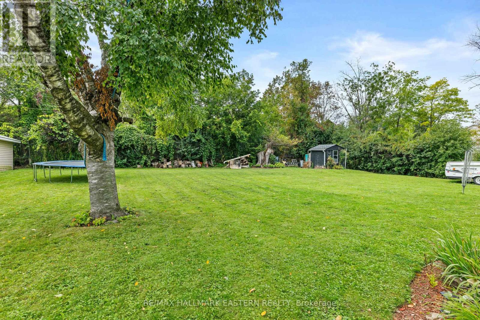 917 Webber Avenue, Peterborough (Otonabee Ward 1), Ontario  K9J 5X9 - Photo 3 - X13803860