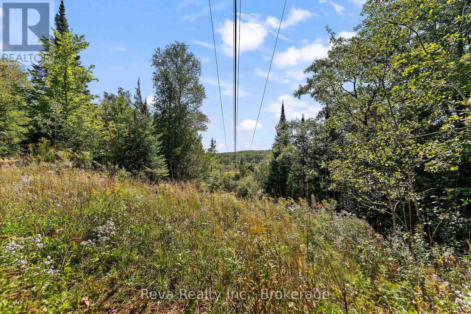 834 Hybla Road, Hastings Highlands (Monteagle Ward), Ontario  K0L 1C0 - Photo 29 - X13805086