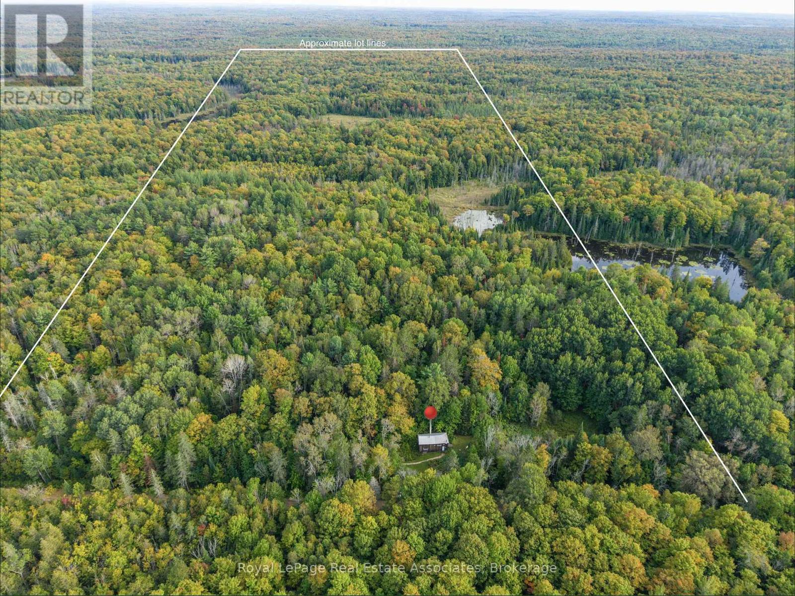 225 White Church Road, Faraday, Ontario  K0L 1P0 - Photo 2 - X13805402