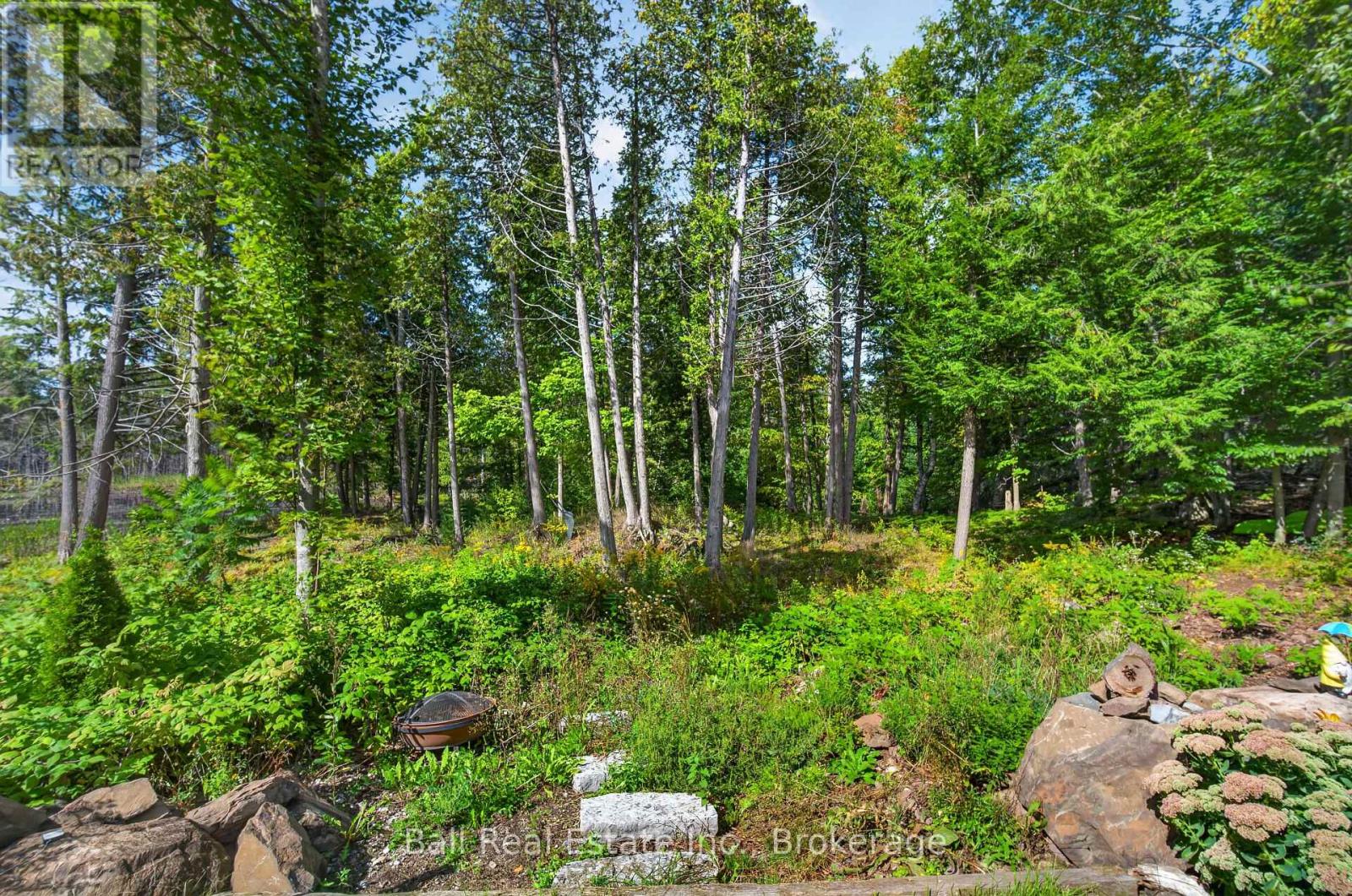 2350 Crowes Landing Road, Douro-Dummer, Ontario  K0L 2H0 - Photo 49 - X13805814