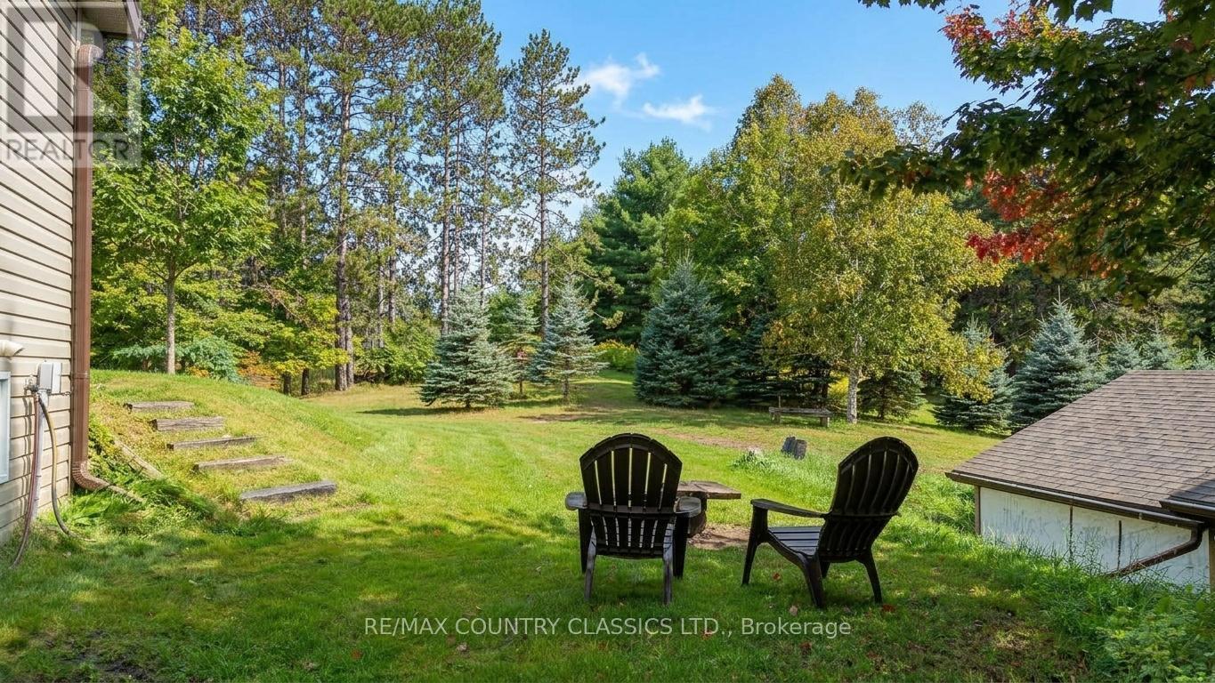 41 Old L'amable Road, Bancroft (Dungannon Ward), Ontario  K0L 2L0 - Photo 38 - X13807854