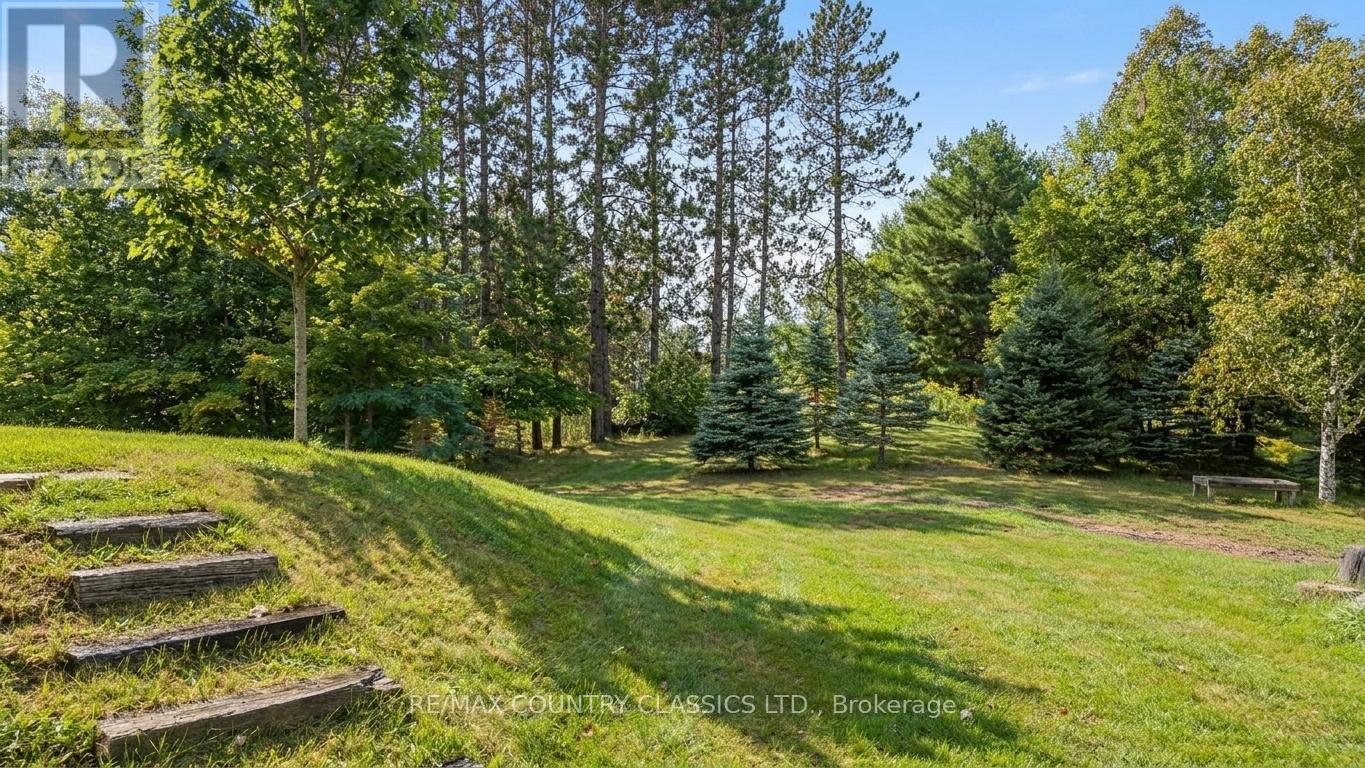 41 Old L'amable Road, Bancroft (Dungannon Ward), Ontario  K0L 2L0 - Photo 39 - X13807854