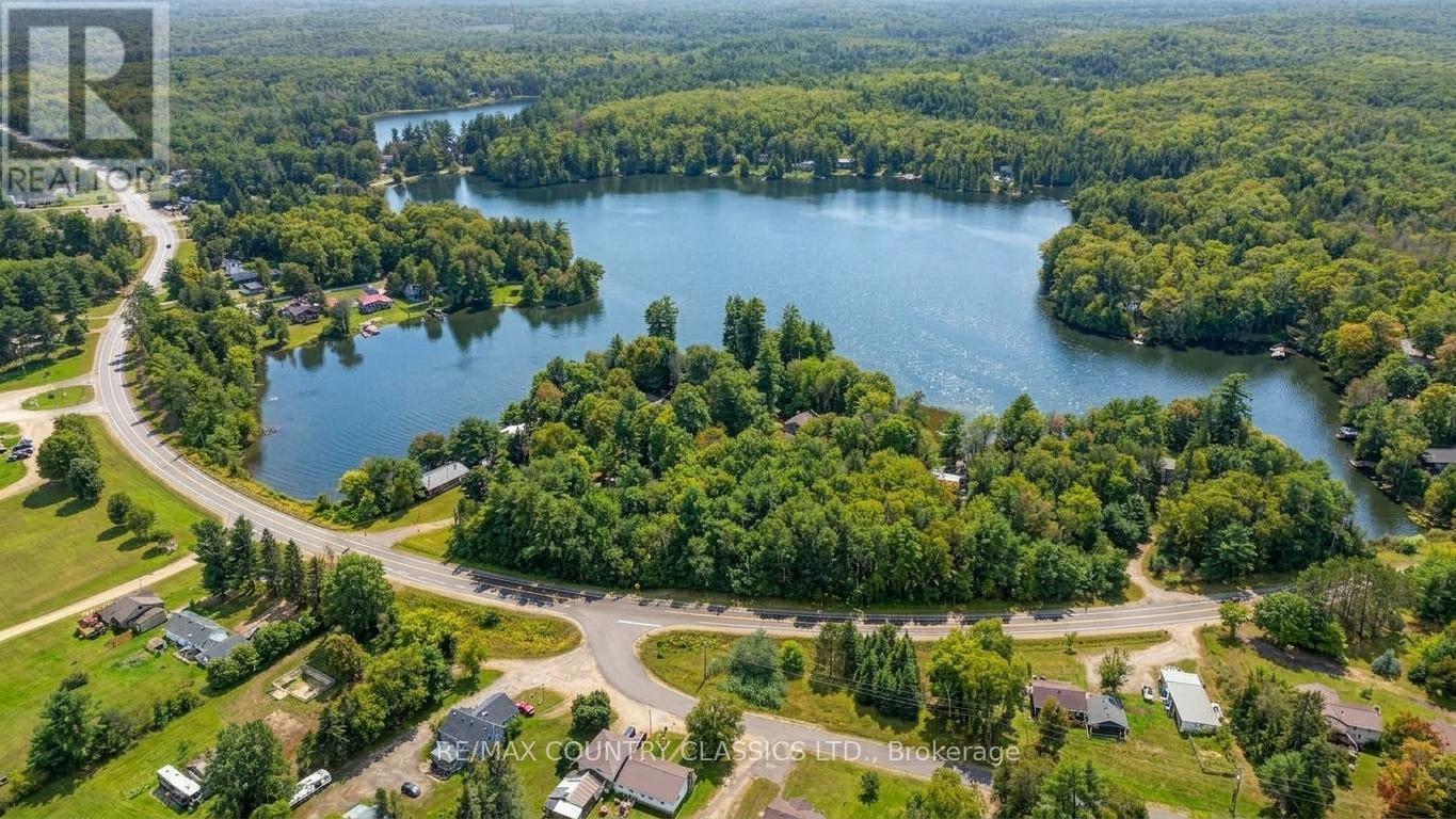 41 Old L'amable Road, Bancroft (Dungannon Ward), Ontario  K0L 2L0 - Photo 45 - X13807854