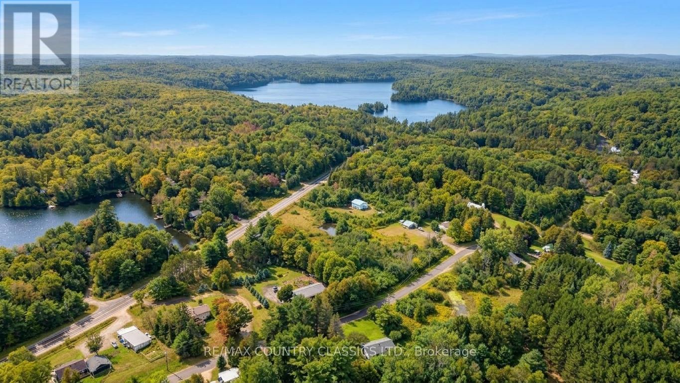 41 Old L'amable Road, Bancroft (Dungannon Ward), Ontario  K0L 2L0 - Photo 46 - X13807854