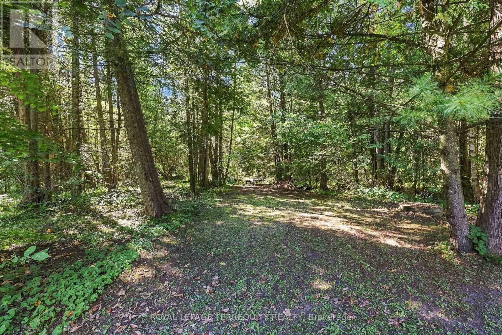 43b Brights Lane, Trent Hills (Campbellford), Ontario  K0L 1L0 - Photo 40 - X13808948