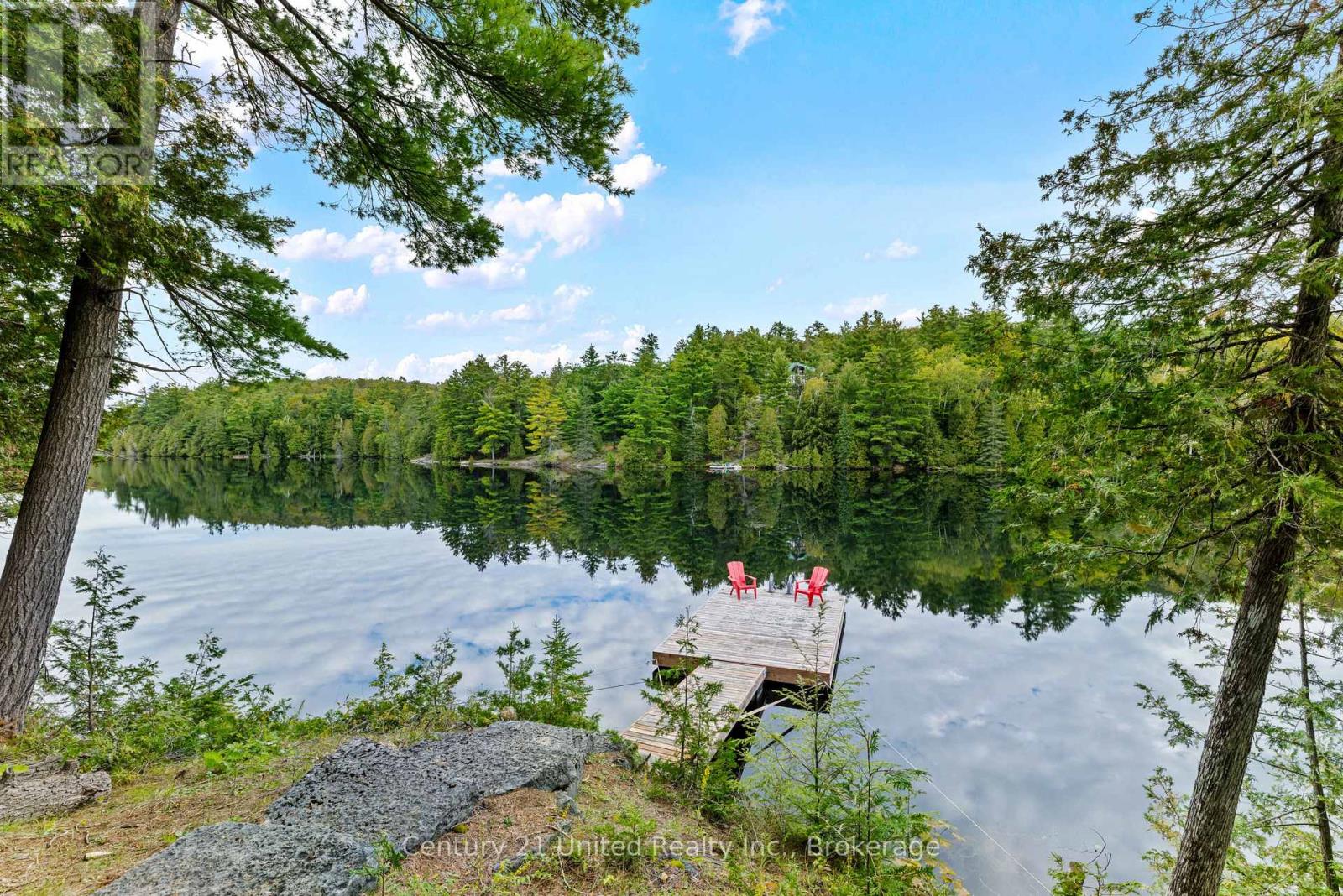82 Fire Route 291, Trent Lakes, Ontario  K0L 1J0 - Photo 33 - X13814124