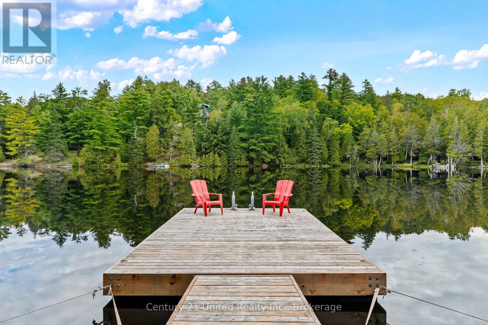 82 Fire Route 291, Trent Lakes, Ontario  K0L 1J0 - Photo 34 - X13814124