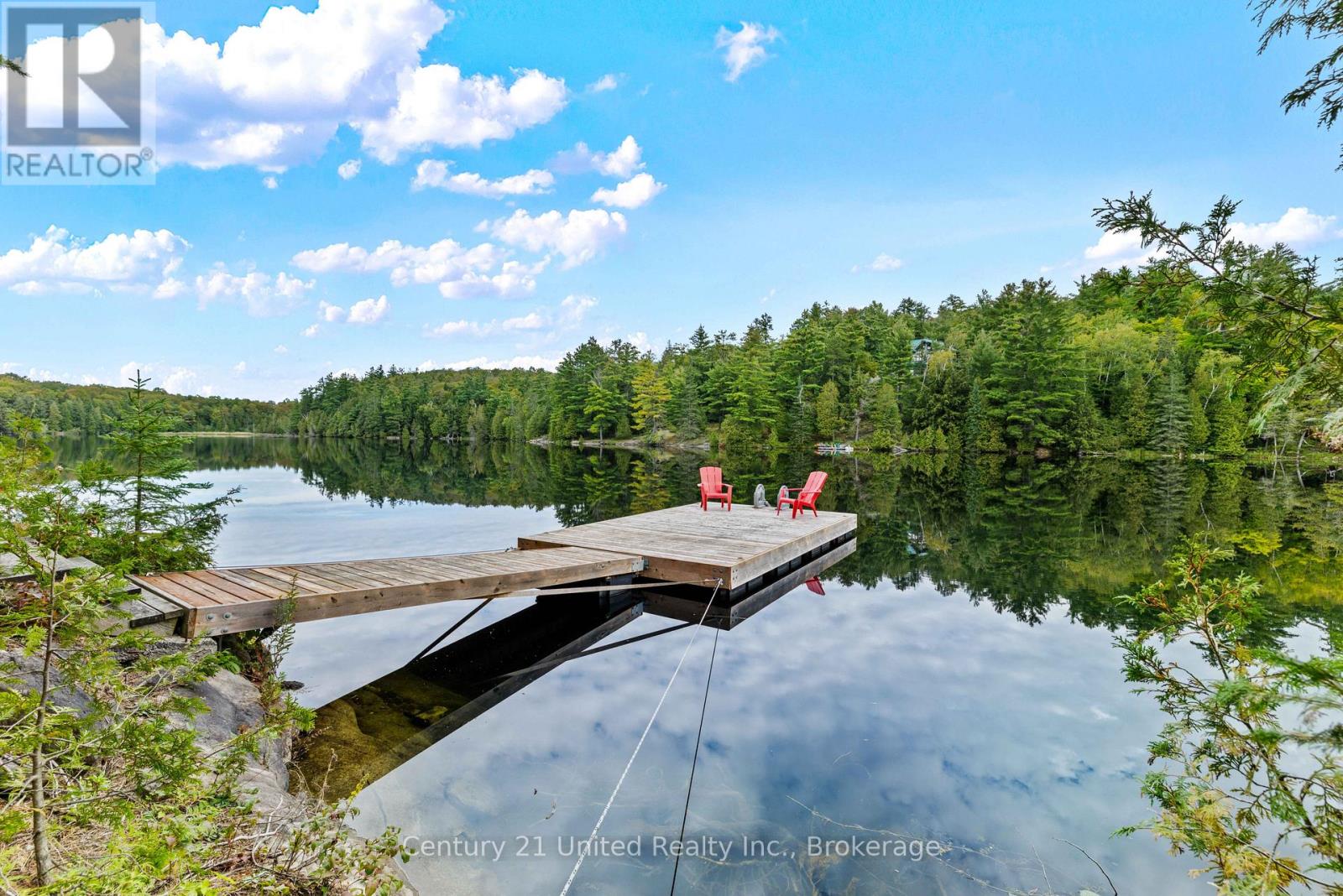 82 Fire Route 291, Trent Lakes, Ontario  K0L 1J0 - Photo 35 - X13814124