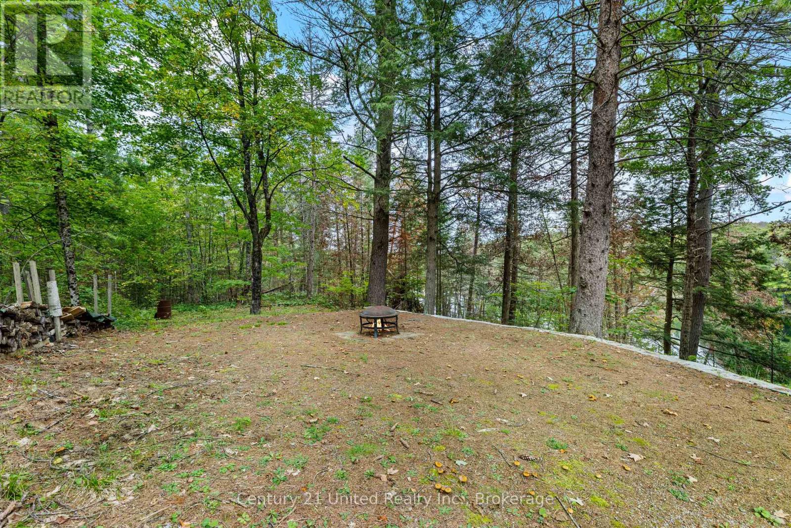 82 Fire Route 291, Trent Lakes, Ontario  K0L 1J0 - Photo 36 - X13814124
