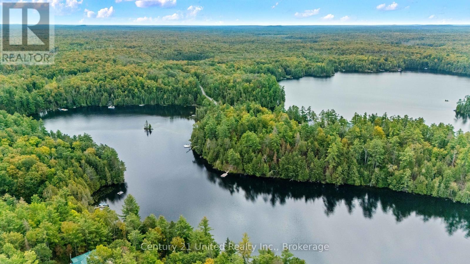 82 Fire Route 291, Trent Lakes, Ontario  K0L 1J0 - Photo 41 - X13814124