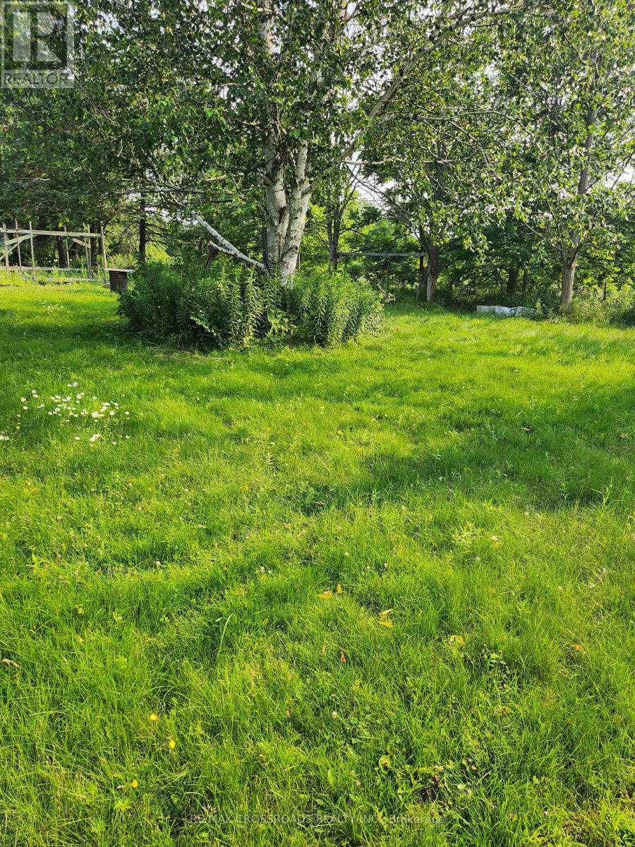 3837 Highway 2 (Part 2) Road, Clarington, Ontario  L1B 0R2 - Photo 7 - E13819860