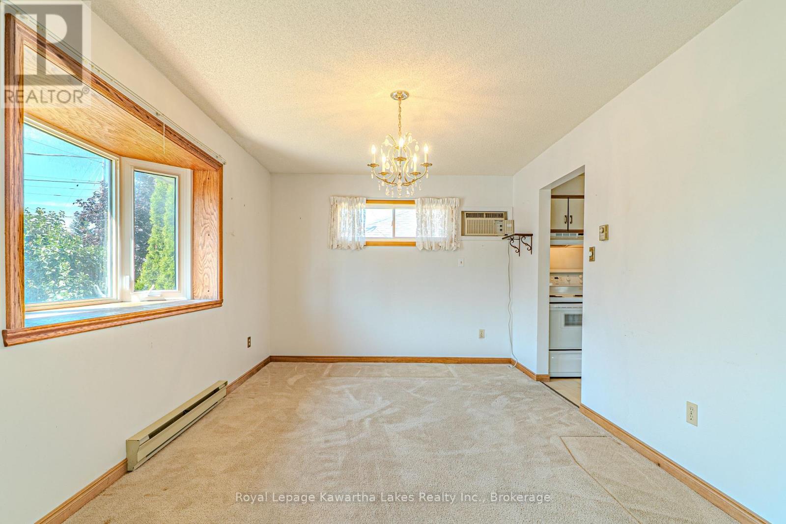 182 Colborne Street W, Kawartha Lakes (Lindsay), Ontario  K9V 6A1 - Photo 10 - X13822416