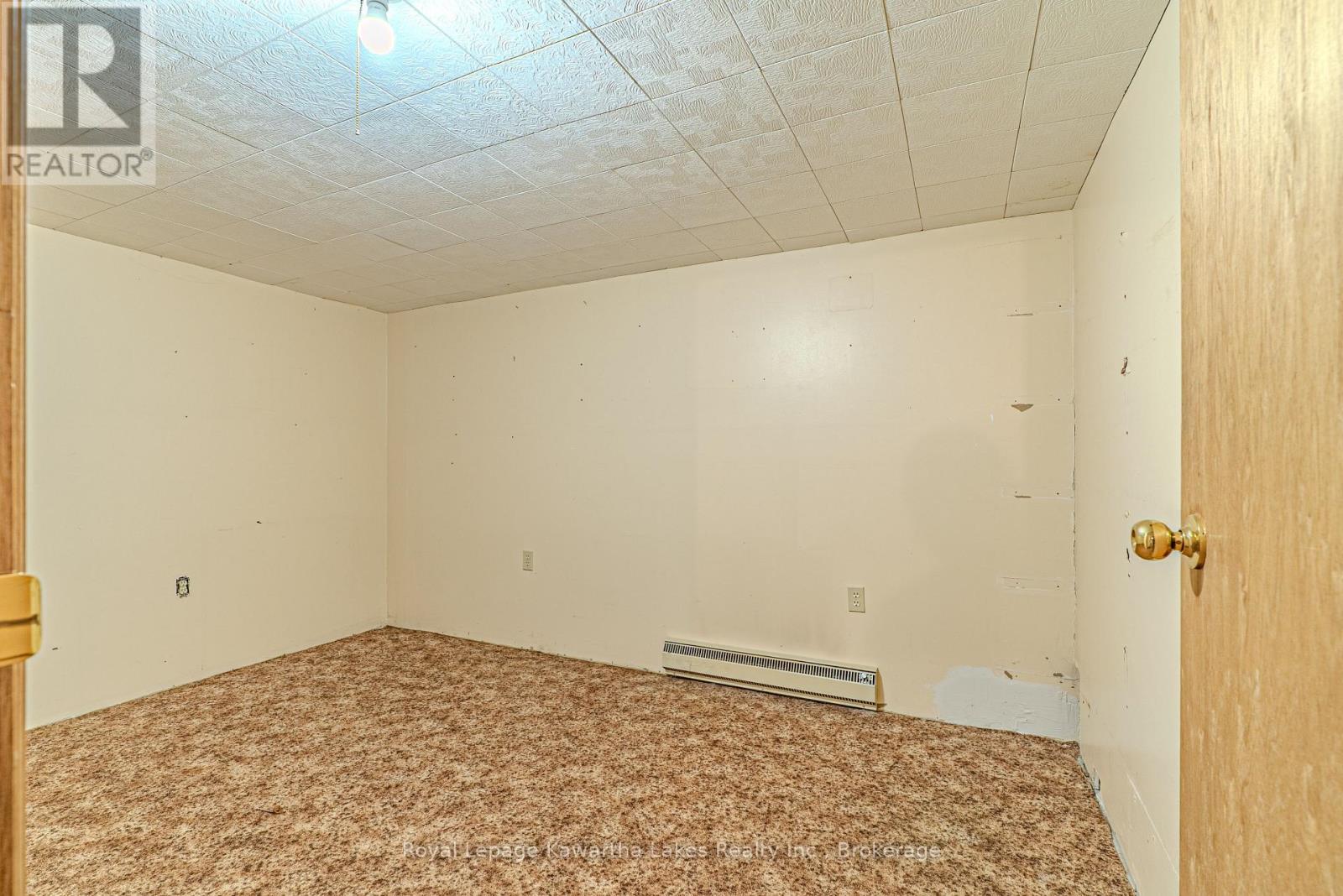 182 Colborne Street W, Kawartha Lakes (Lindsay), Ontario  K9V 6A1 - Photo 24 - X13822416