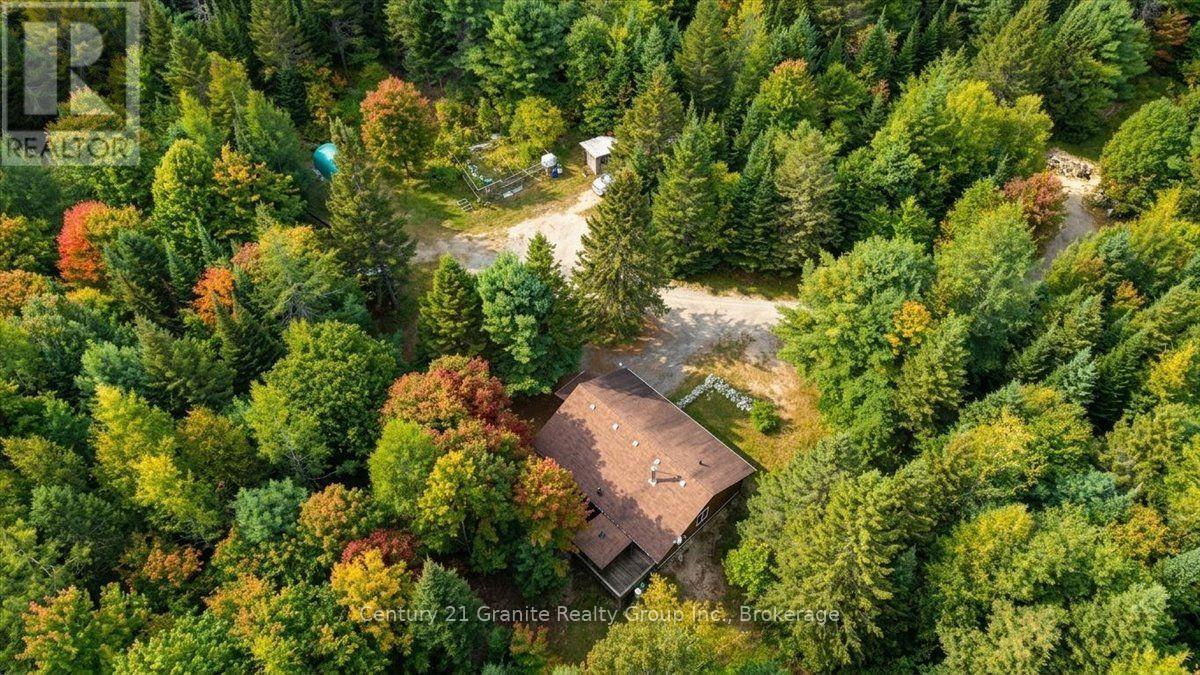 649 Madawaska Road, Hastings Highlands (Wicklow Ward), Ontario  K0L 2S0 - Photo 45 - X13822812
