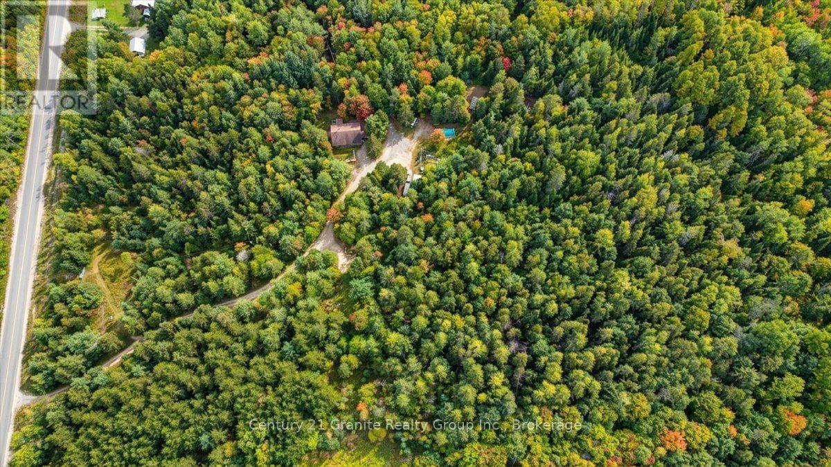 649 Madawaska Road, Hastings Highlands (Wicklow Ward), Ontario  K0L 2S0 - Photo 46 - X13822812