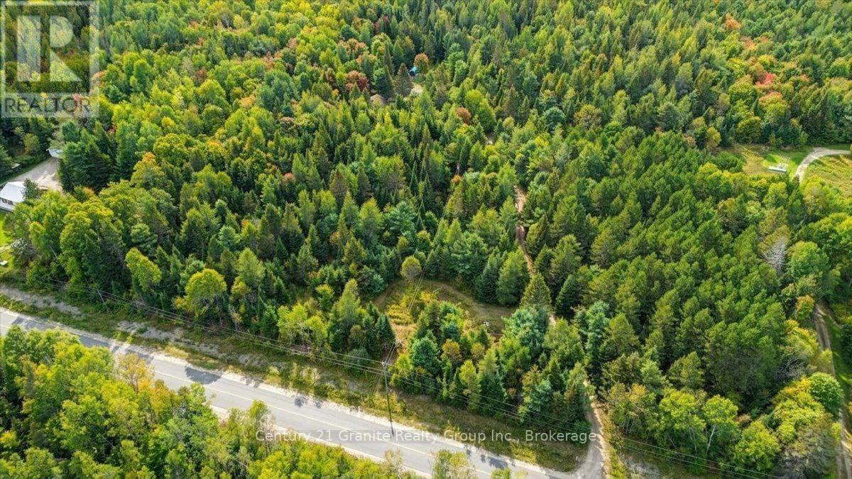 649 Madawaska Road, Hastings Highlands (Wicklow Ward), Ontario  K0L 2S0 - Photo 47 - X13822812
