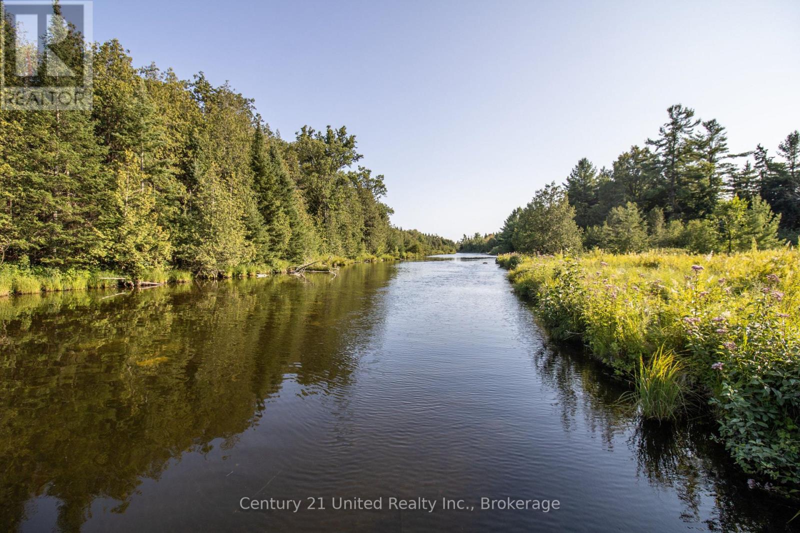 395 Sawmill Road, Douro-Dummer, Ontario  K0L 2H0 - Photo 5 - X13822816
