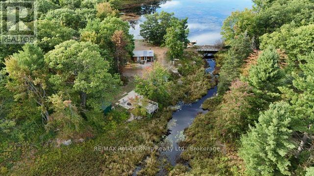 0 County Road 46 Road N, Havelock-Belmont-Methuen, Ontario  K0L 1Z0 - Photo 2 - X13824282