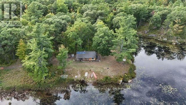 0 County Road 46 Road N, Havelock-Belmont-Methuen, Ontario  K0L 1Z0 - Photo 3 - X13824282