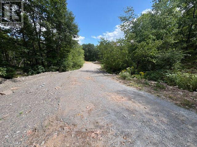 0 County Road 46 Road N, Havelock-Belmont-Methuen, Ontario  K0L 1Z0 - Photo 4 - X13824282