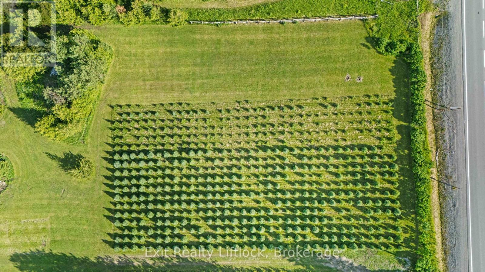 2917 Highway 28, Douro-Dummer, Ontario  K0L 2H0 - Photo 39 - X13835812