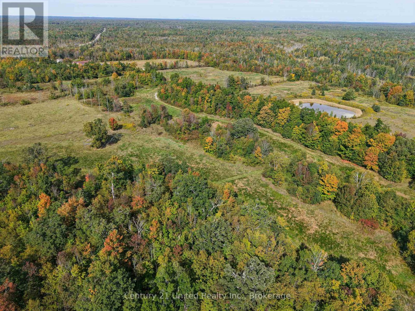 65 Northeys Bay Road, North Kawartha, Ontario  K0L 3E0 - Photo 12 - X13835882