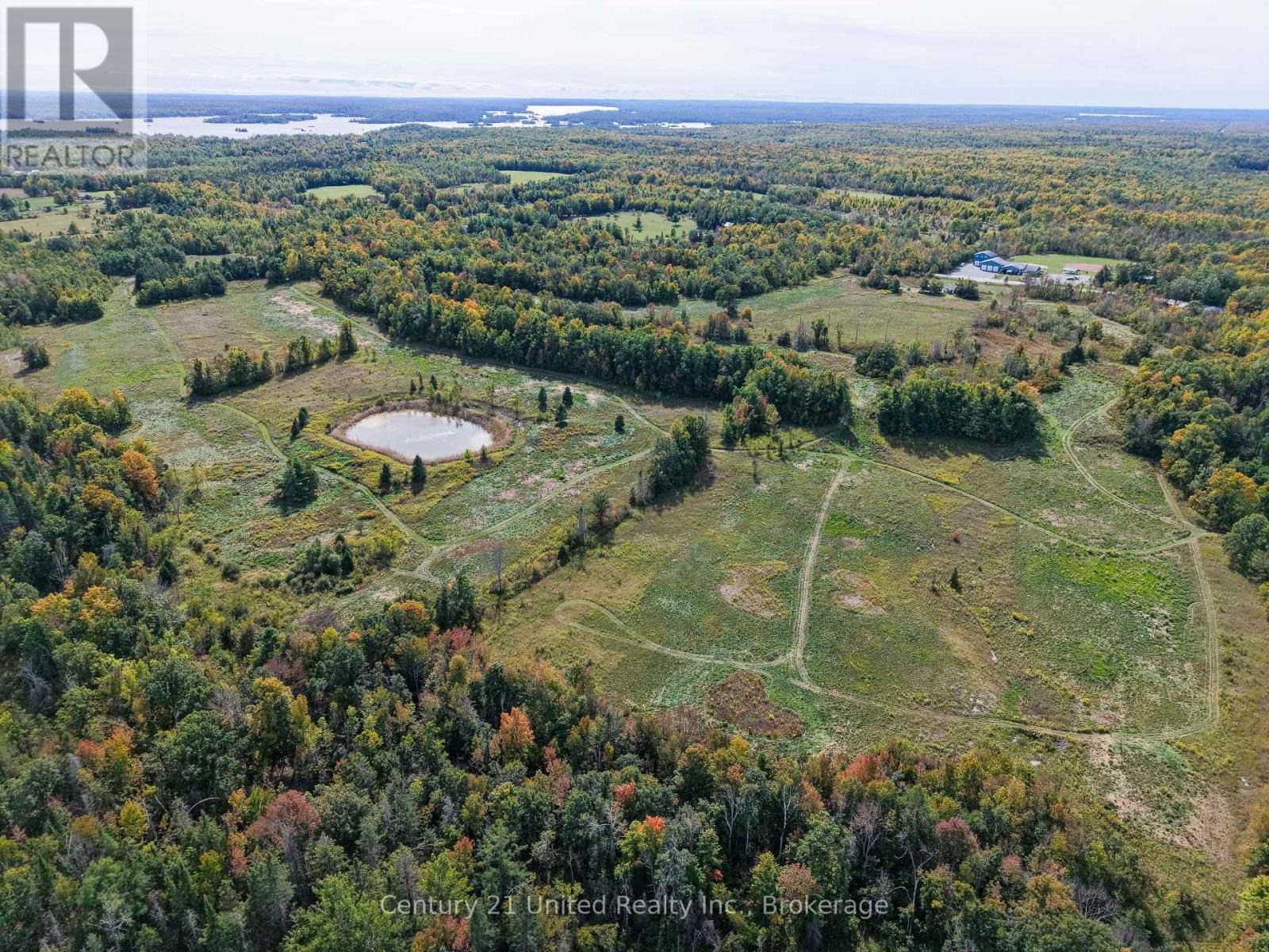 65 Northeys Bay Road, North Kawartha, Ontario  K0L 3E0 - Photo 7 - X13835882