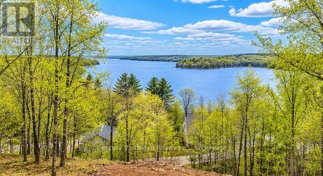 1282 Vansickle Road, Havelock-Belmont-Methuen (Belmont-Methuen), Ontario  K0L 1Z0 - Photo 40 - X13838528
